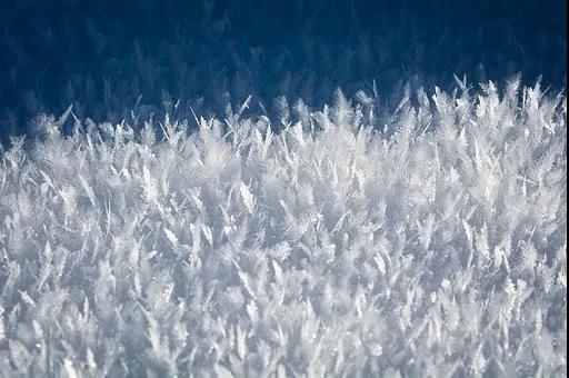 各領(lǐng)域?qū)嶒?yàn)室的溫濕度最佳范圍(圖1)