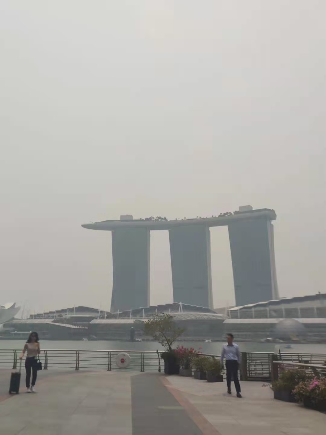 2019年-新加坡之旅(圖3) 2019年-新加坡之旅(圖3)